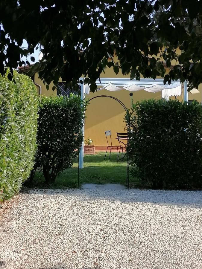 Il Nido Villa Lucca Exteriör bild