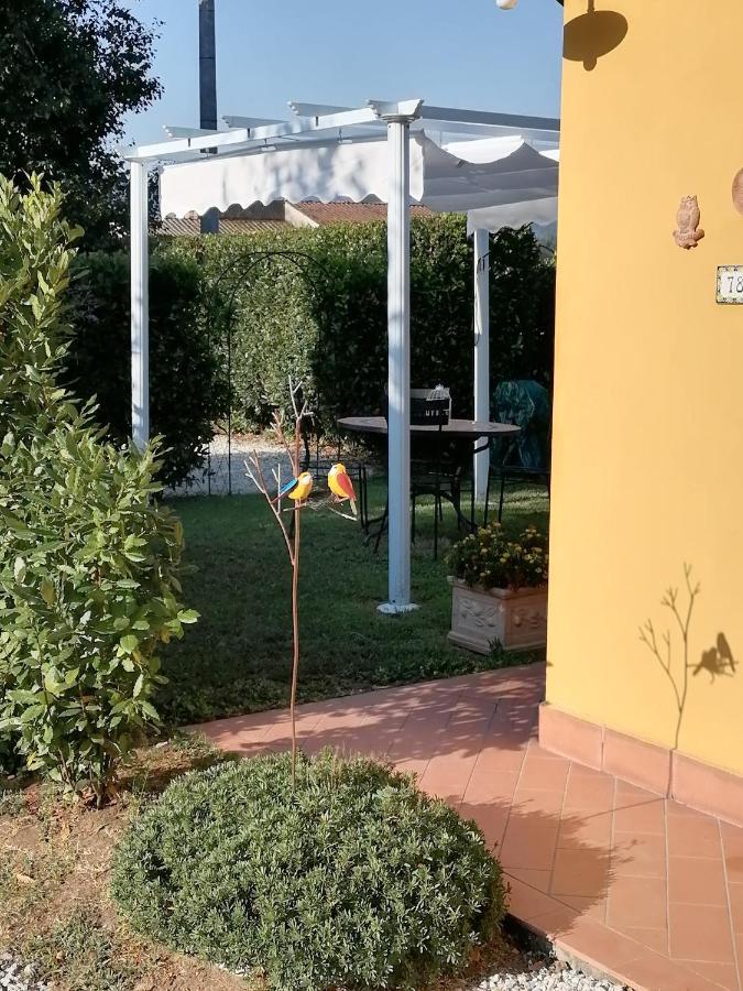 Il Nido Villa Lucca Exteriör bild