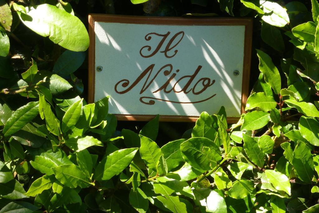 Il Nido Villa Lucca Rum bild