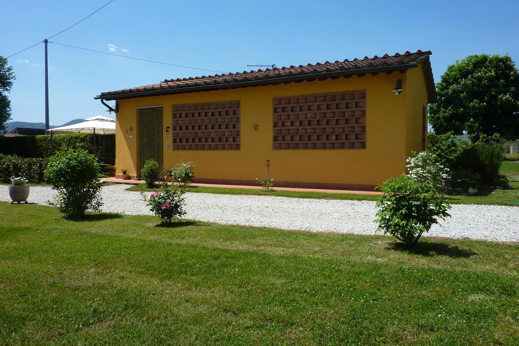 Il Nido Villa Lucca Exteriör bild