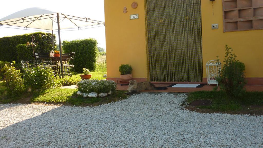 Il Nido Villa Lucca Exteriör bild