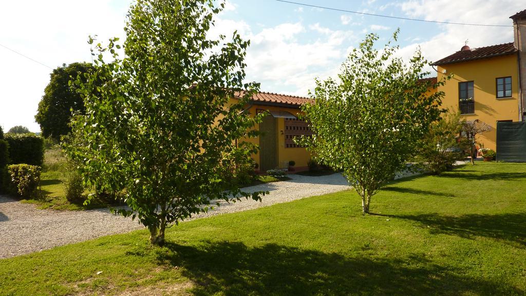 Il Nido Villa Lucca Exteriör bild