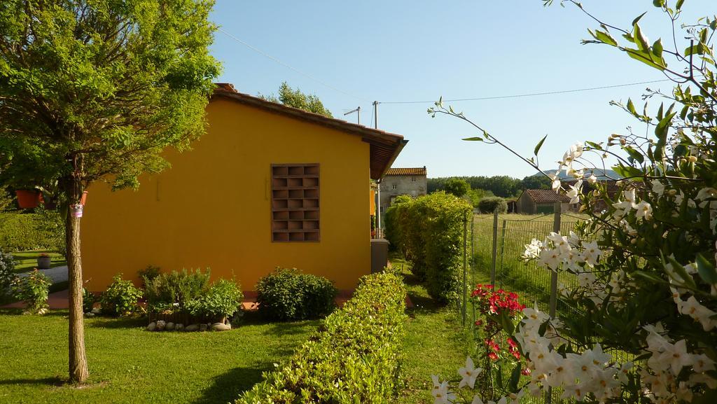 Il Nido Villa Lucca Exteriör bild