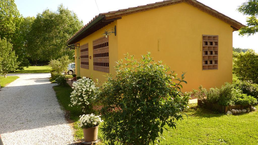 Il Nido Villa Lucca Exteriör bild